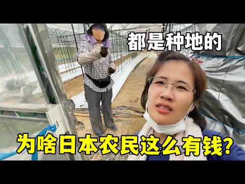 季后赛焦点,浙江对决上,王哲林亮点,开云体育,体育赛事,赛事分析,运动平台,在线体育,体育新闻,赛事直播,体育资讯,体育社区,运动爱好者