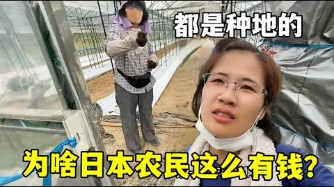“4月21日CBA季后赛焦点：浙江对决上海，王哲林亮点时刻集锦”