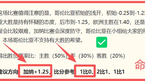 开云体育，赛事分析， 100011 78